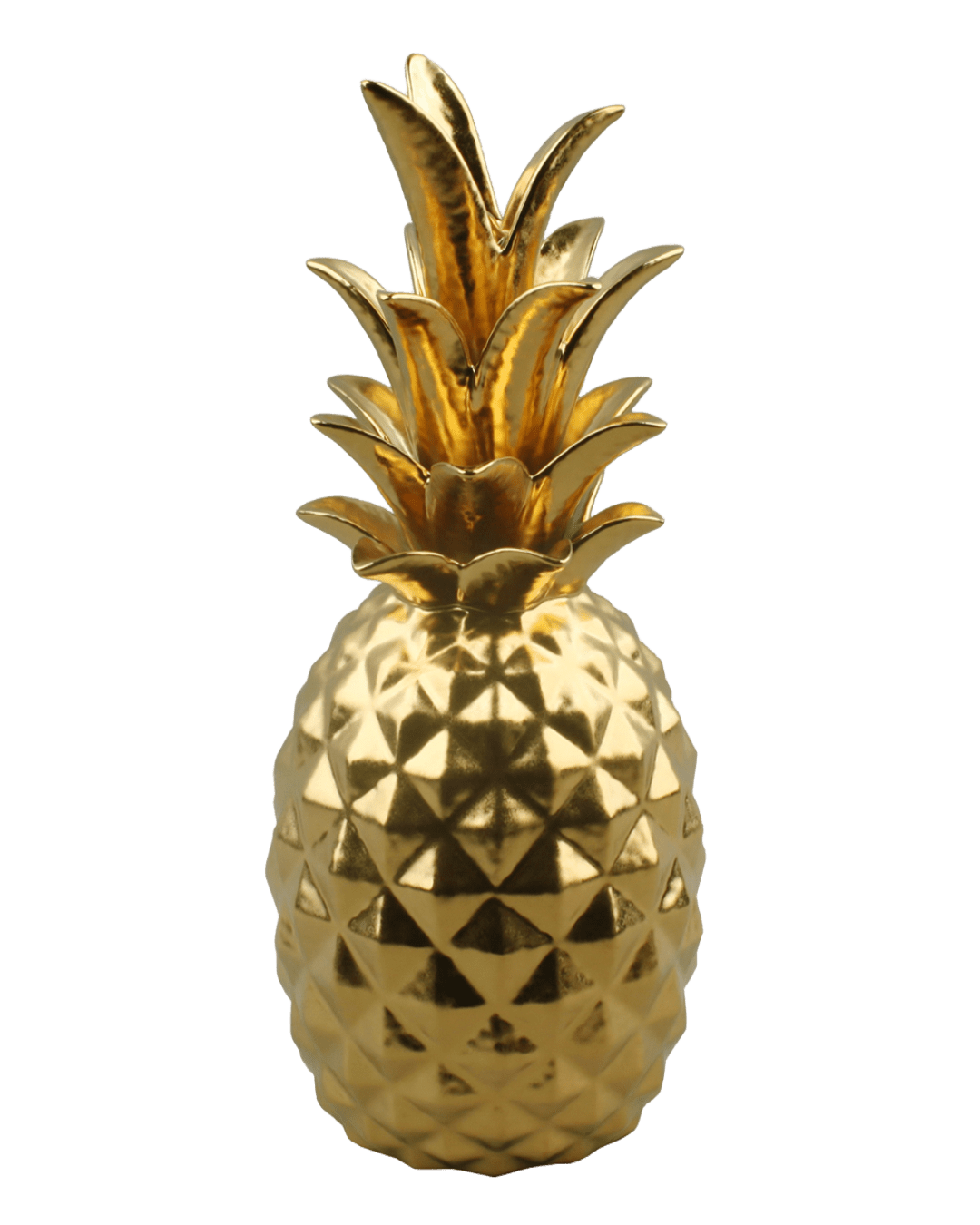 PIÑA HOLLYWOOD