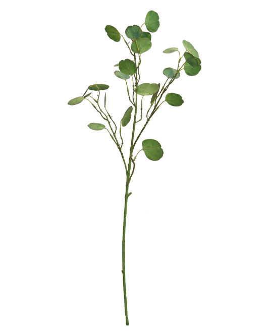 FOLLAJE EUCALIPTO SPRAY