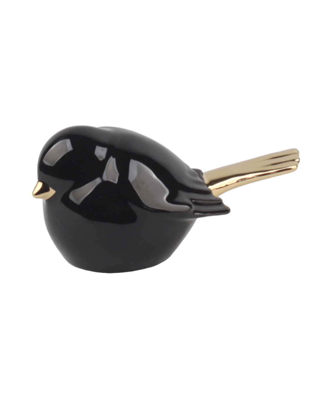 PAJARO VINNI