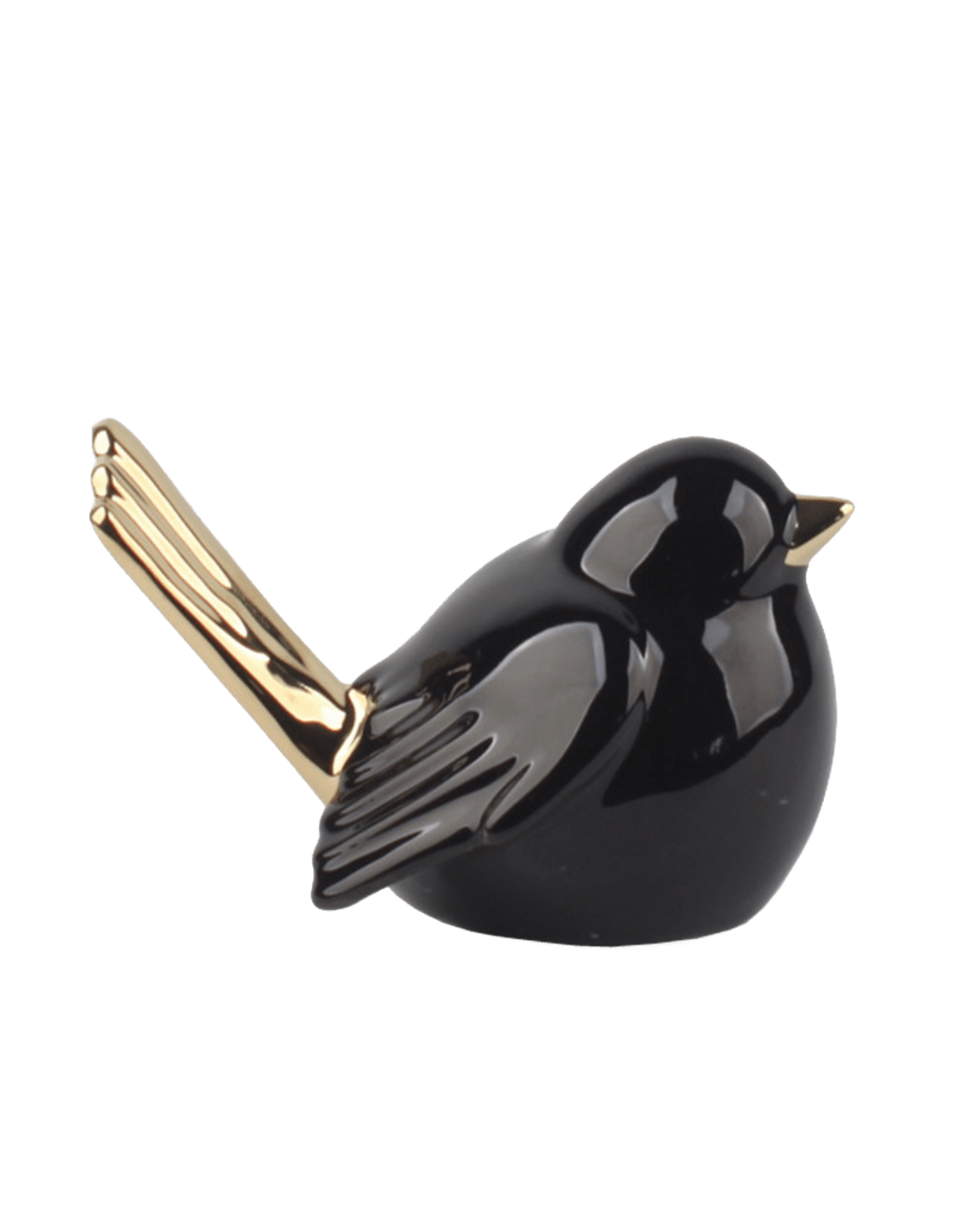PAJARO VITO