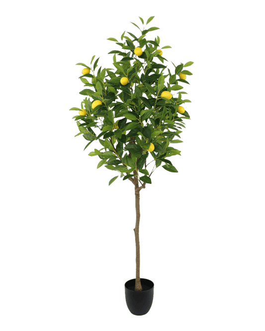 ÁRBOL DECORATIVO DE LIMON