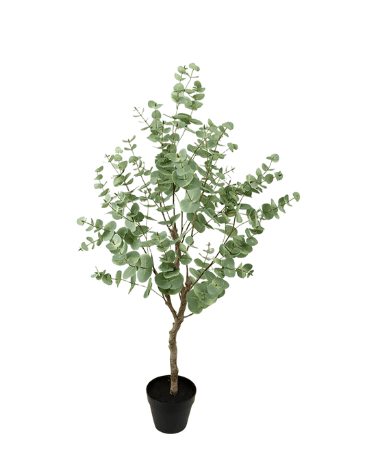 ARBOL DECORATIVO EUCALIPTO