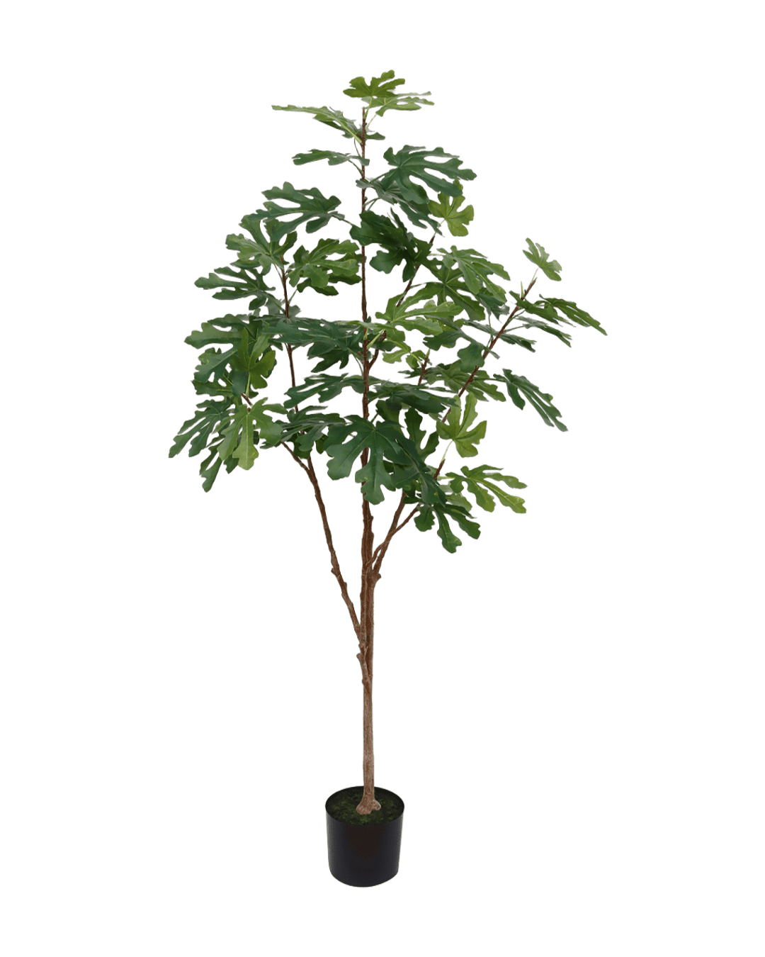 ÁRBOL DECORATIVO HIGUERA