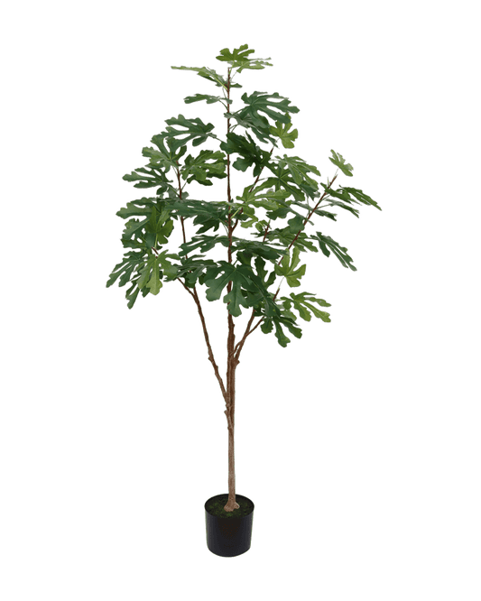 ÁRBOL DECORATIVO HIGUERA