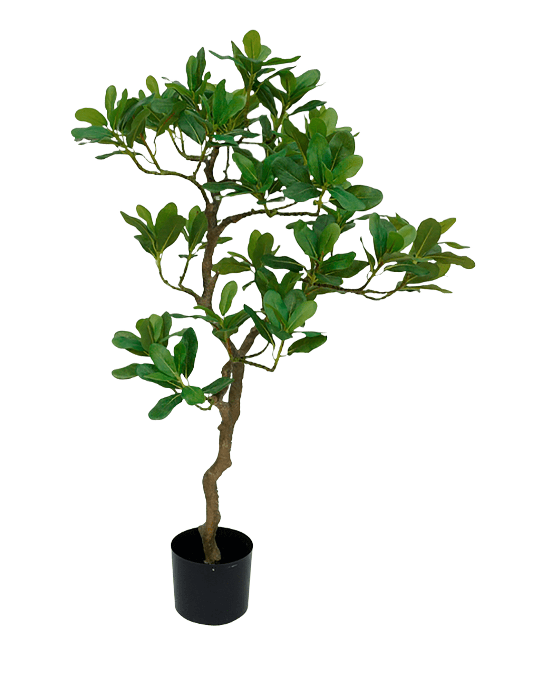 ARBOL DECORATIVO PITT