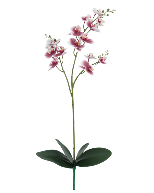 FLOR ORQUÍDEA TRIPLE