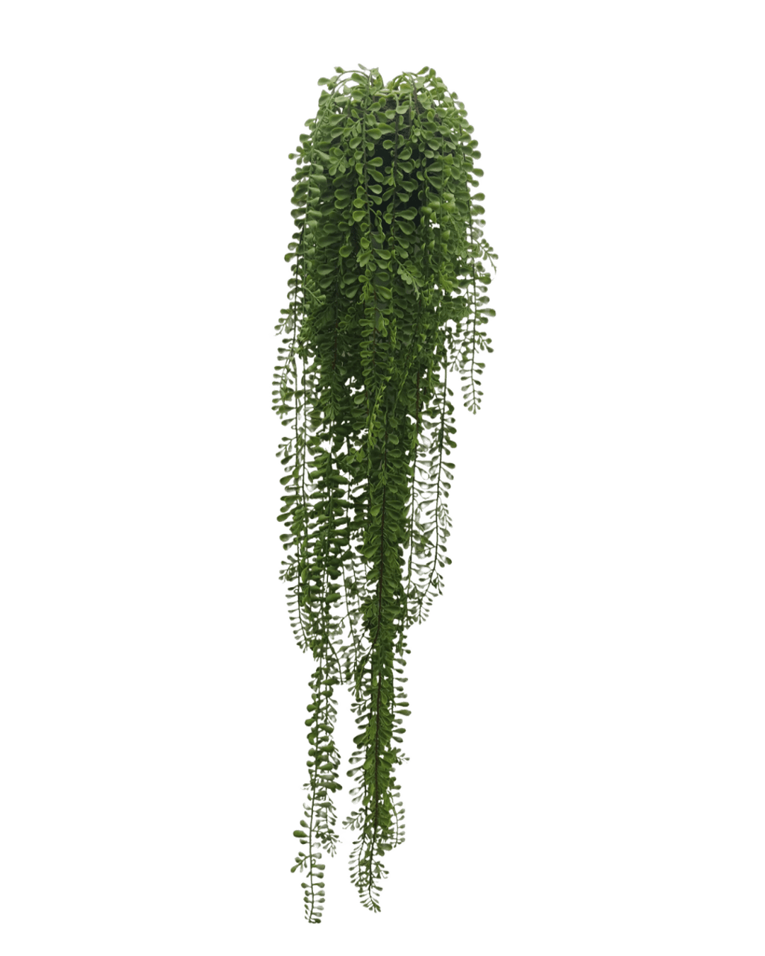 PLANTA COLGANTE DECORATIVA AIR