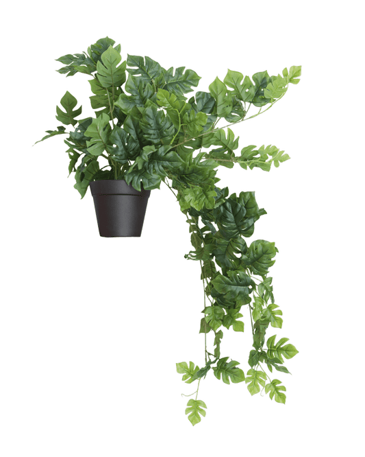 PLANTA DECORATIVA ERHAN