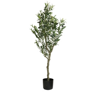 Árboles y Plantas