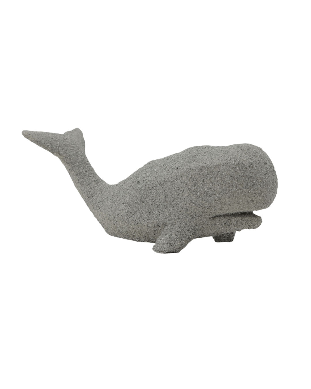 BALLENA TELMA CHICA