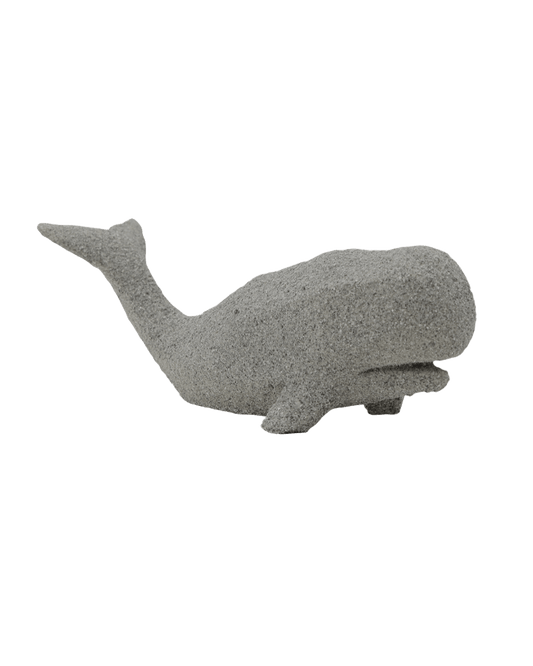 BALLENA TELMA CHICA