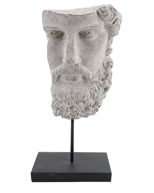 FIGURA SIAMAK