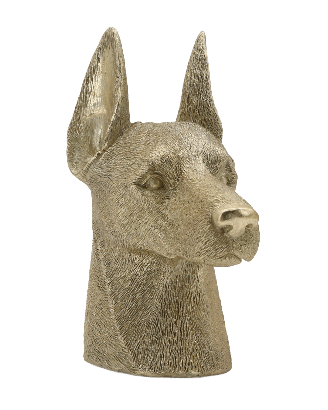 FIGURA VIONA