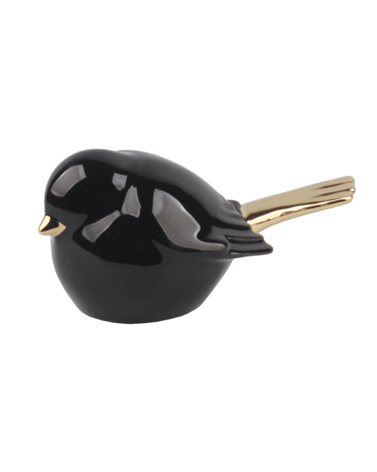 PAJARO VINNI