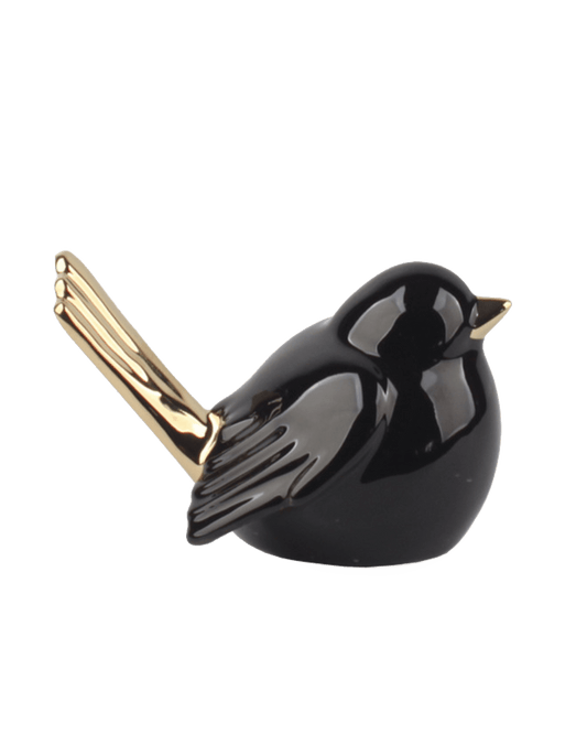 PAJARO VITO