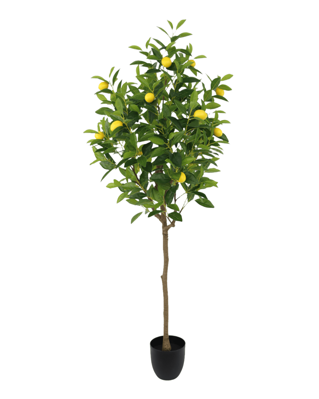 ÁRBOL DECORATIVO DE LIMON
