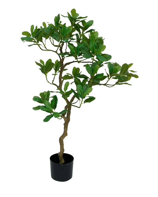 ARBOL DECORATIVO PITT