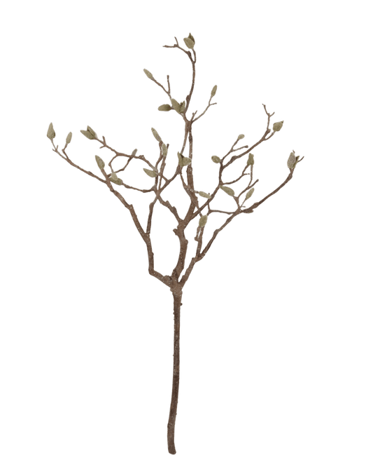 RAMO DECORATIVO DE MAGNOLIA