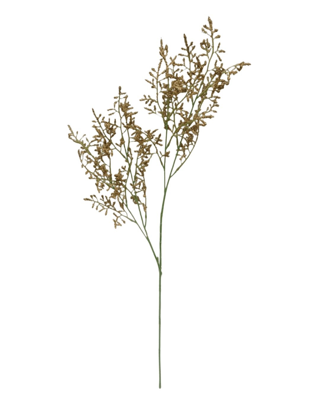 FOLLAJE LOVERGRASS