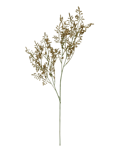 FOLLAJE LOVERGRASS