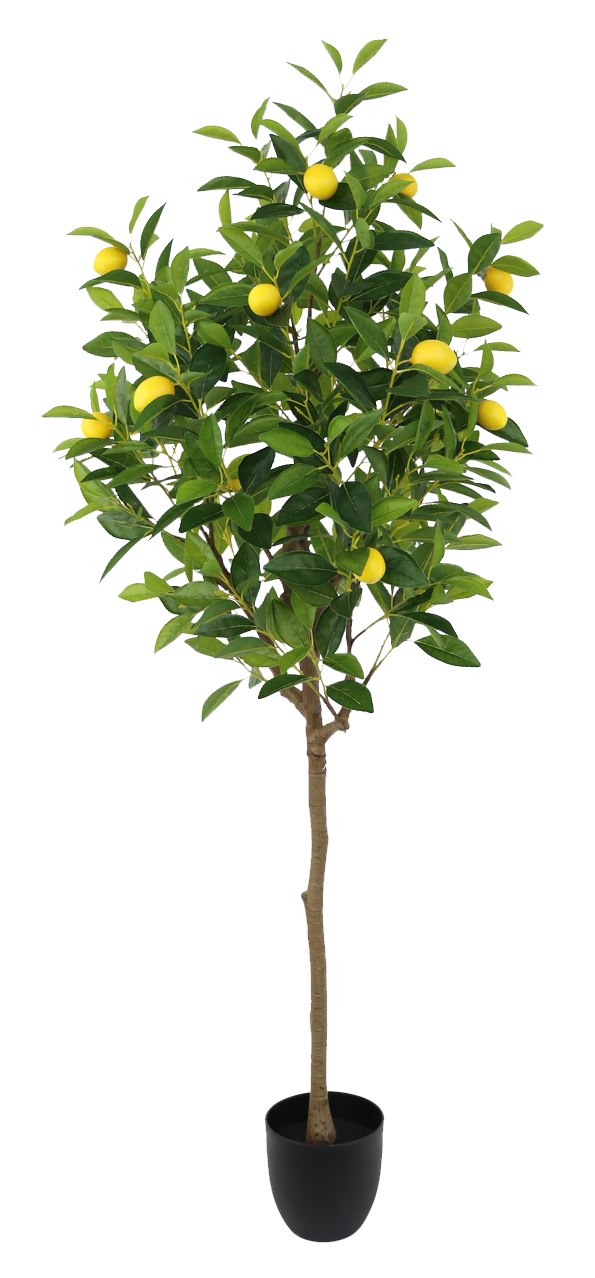 ARBOL DECORATIVO DE LIMON