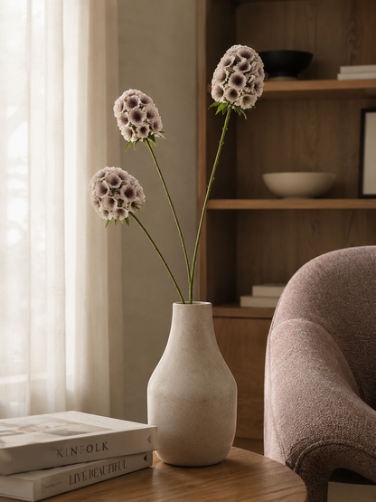 FOLLAJE FLOR SCABIOSA