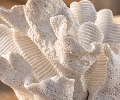 CORAL JARA