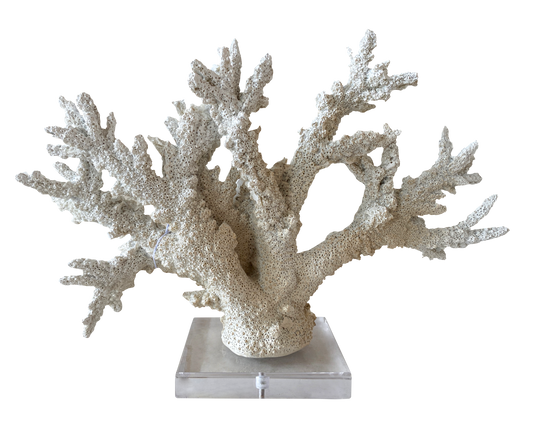 CORAL BREA