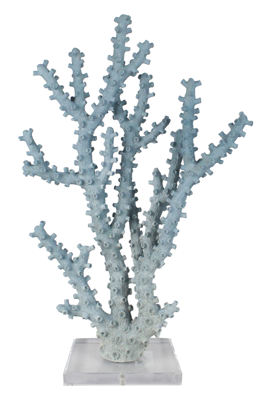 CORAL OLMO