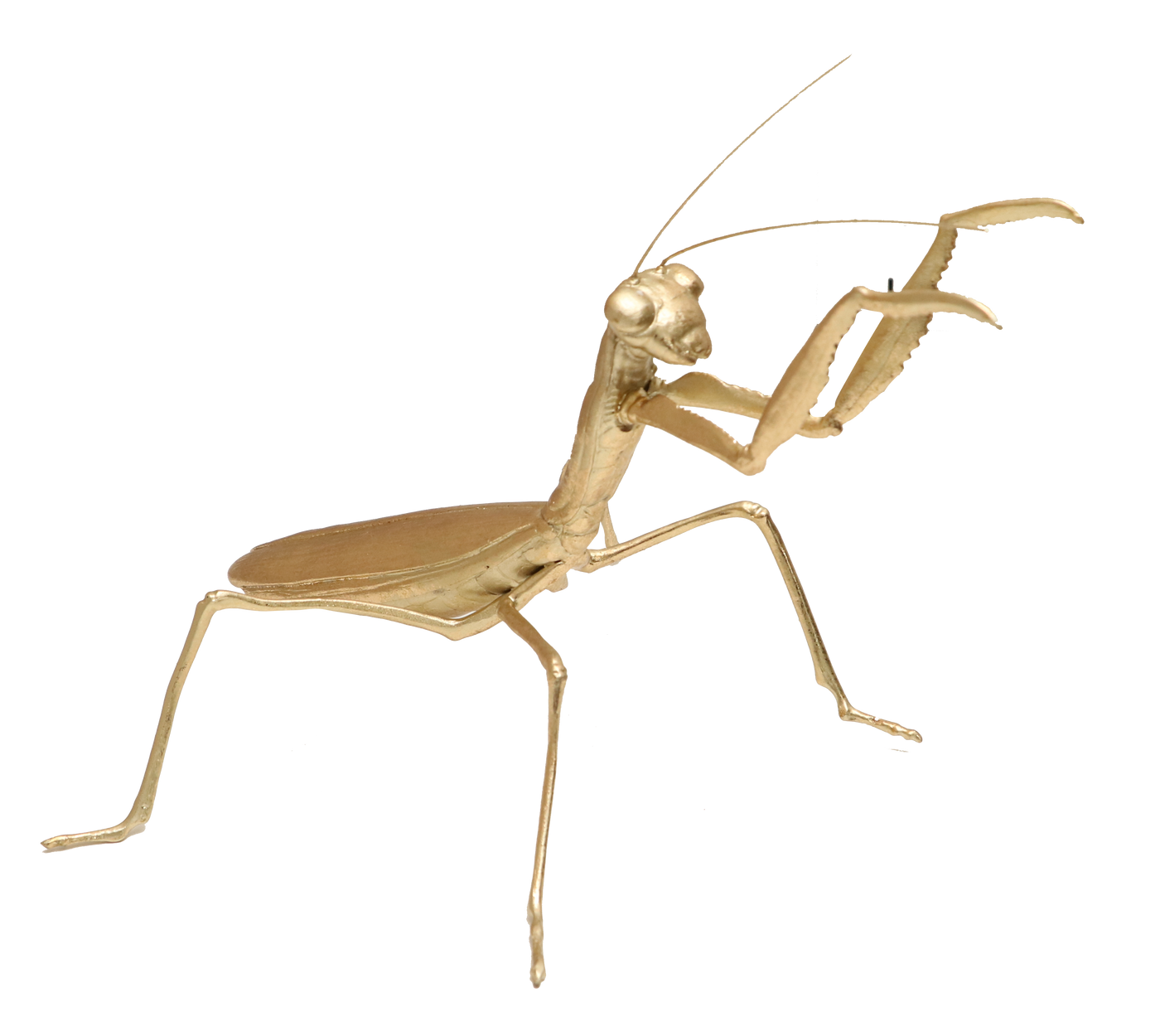 FIGURA SALTAMONTES ORIEL