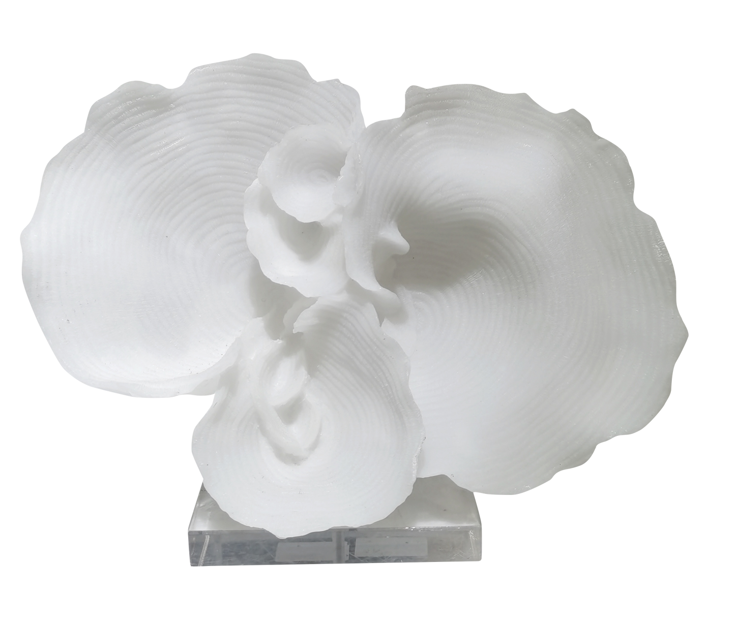 FIGURA LIOR