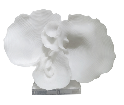 FIGURA LIOR
