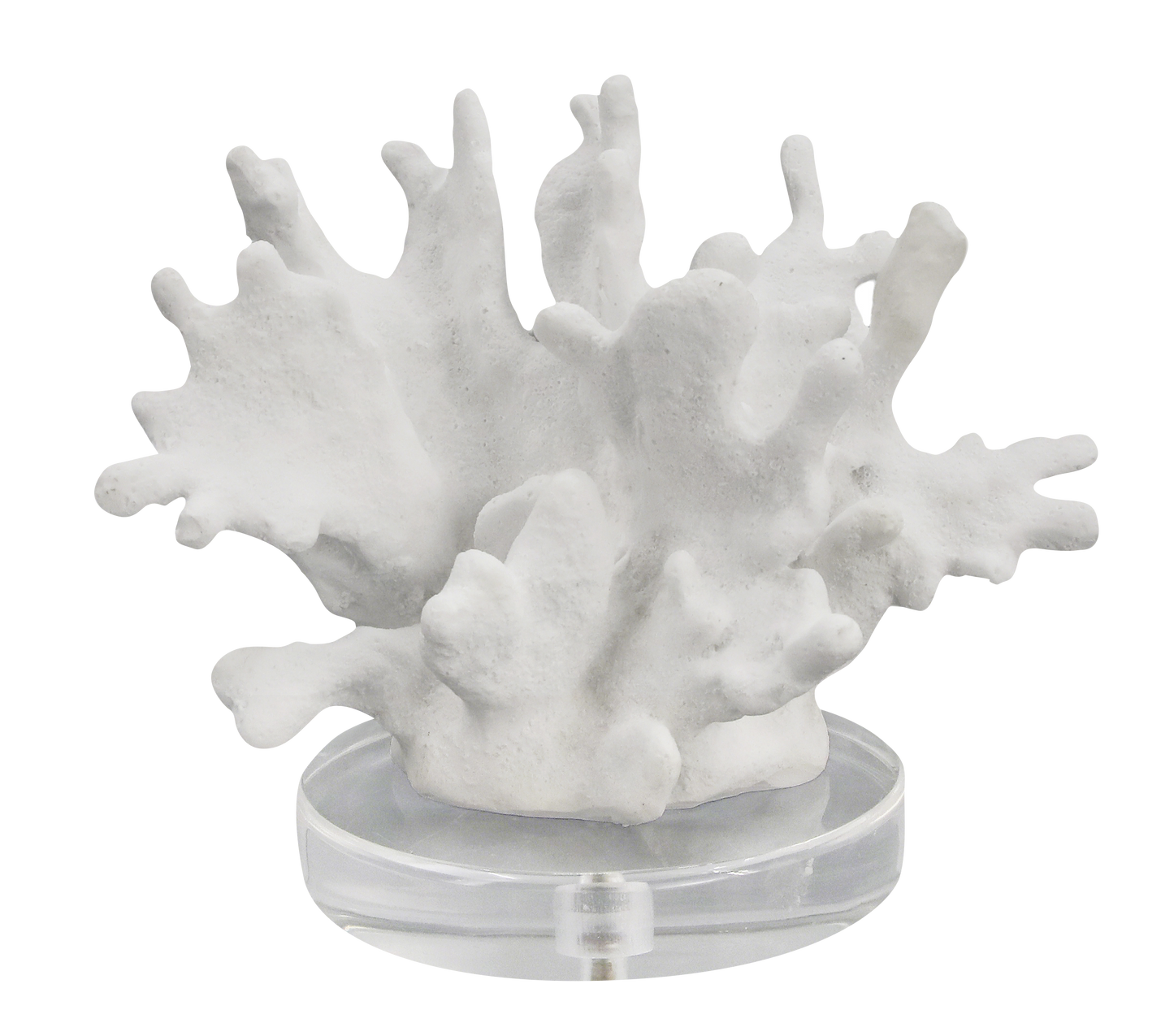 FIGURA ZENAE