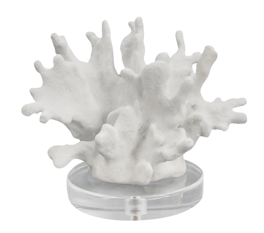 FIGURA ZENAE