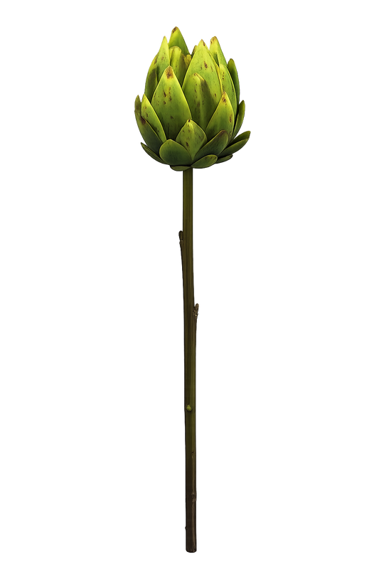 FOLLAJE FLOR CYNARA