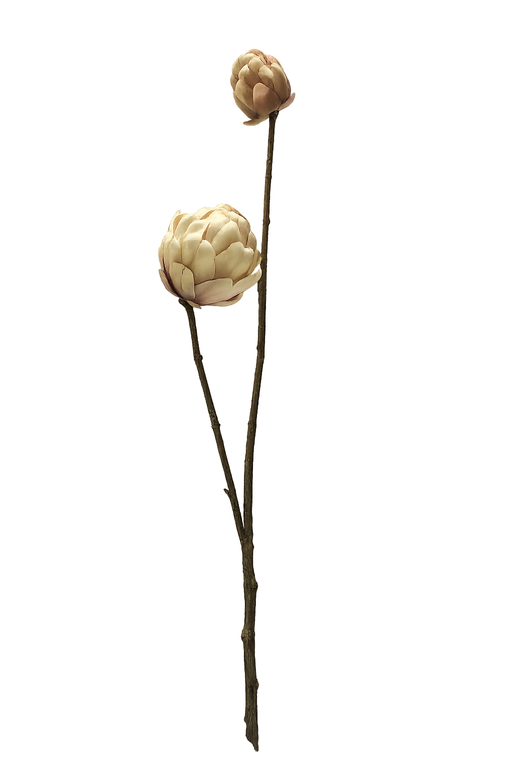 FOLLAJE FLOR DE PIÑA