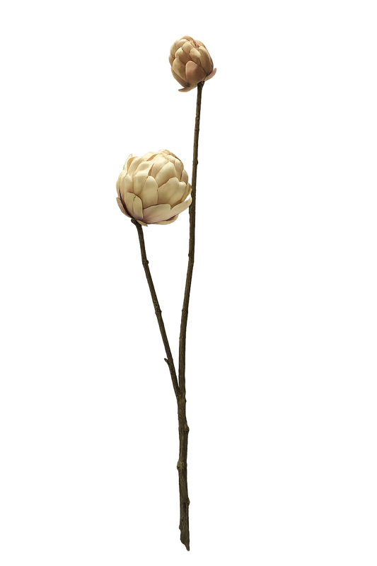 FOLLAJE FLOR DE PIÑA