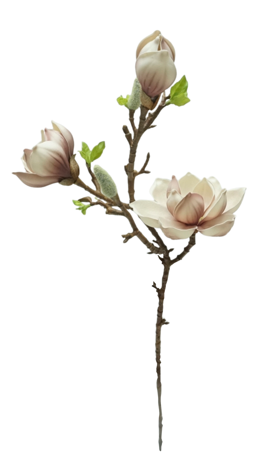 FLOR MAGNOLIA TRIPLE
