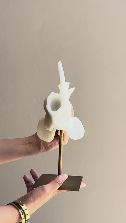 FIGURA NALIA