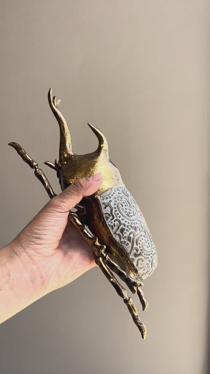 FIGURA DELMAL