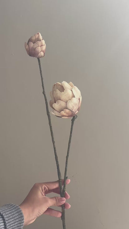 FOLLAJE FLOR DE PIÑA