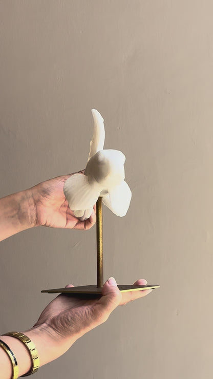 FIGURA THIRA