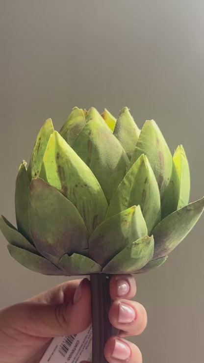 FOLLAJE FLOR CYNARA