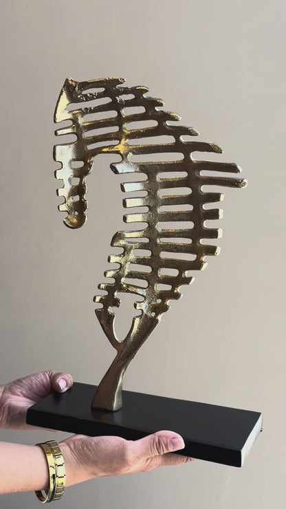 FIGURA AIRA
