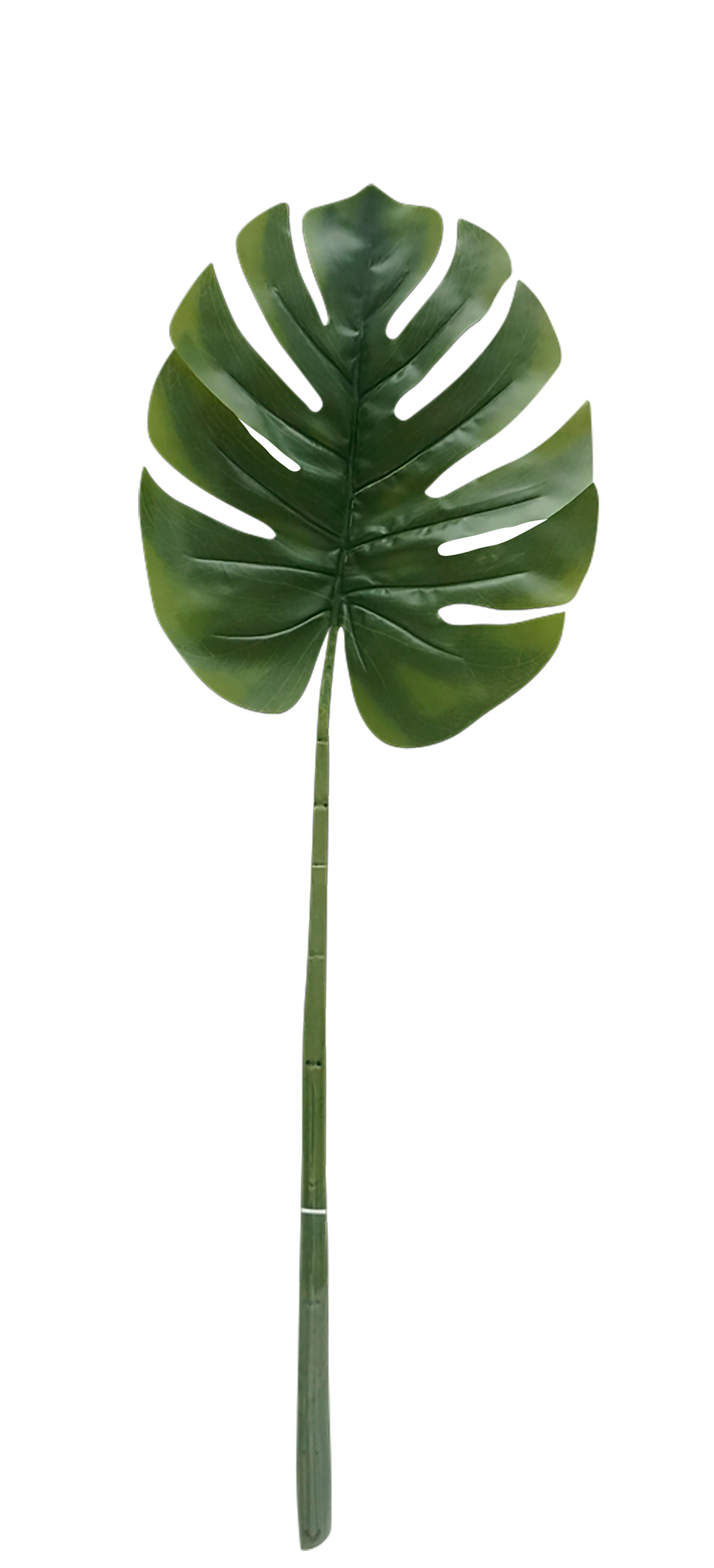 HOJA DECORATIVA MONSTERA